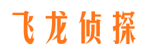 沙湾区市私家侦探